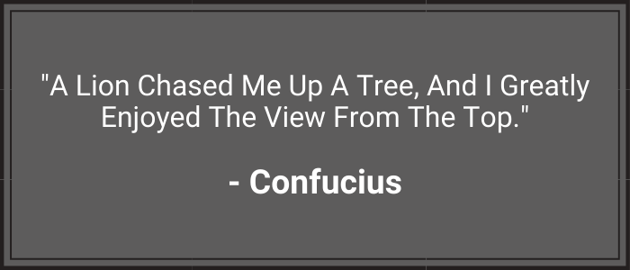 "A lion chased me up a tree, and I greatly enjoyed the view from the top." - Confucius