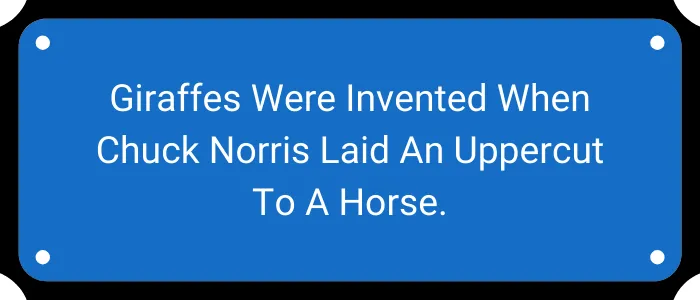 Giraffes were invented when Chuck Norris laid an uppercut to a horse.