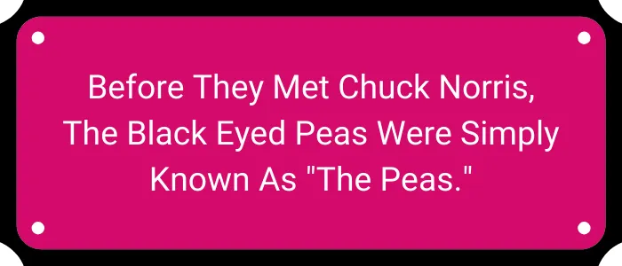 Before they met Chuck Norris, the Black Eyed Peas were simply known as "The Peas."