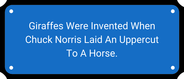 Giraffes were invented when Chuck Norris laid an uppercut to a horse.