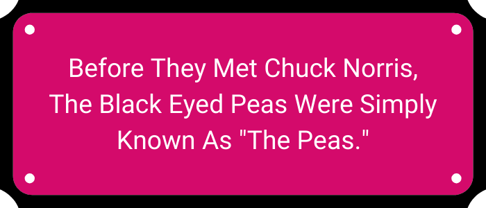 Before they met Chuck Norris, the Black Eyed Peas were simply known as "The Peas."