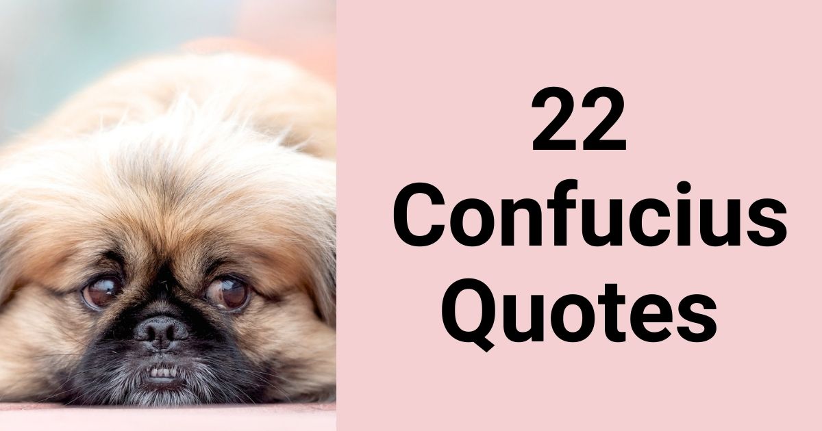 22 Inspirational Confucius Quotes