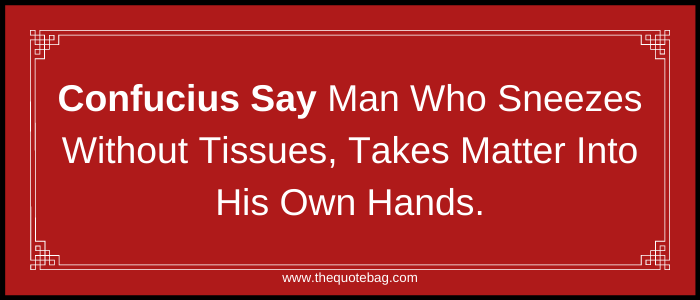 Confucius Say man who sneezes without tissues, takes matter into his own hands.